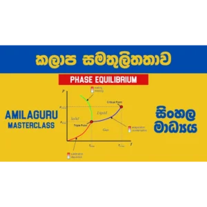 Phase Equilibrium Sinhala - A/L Chemistry Complete Masterclass (Online)